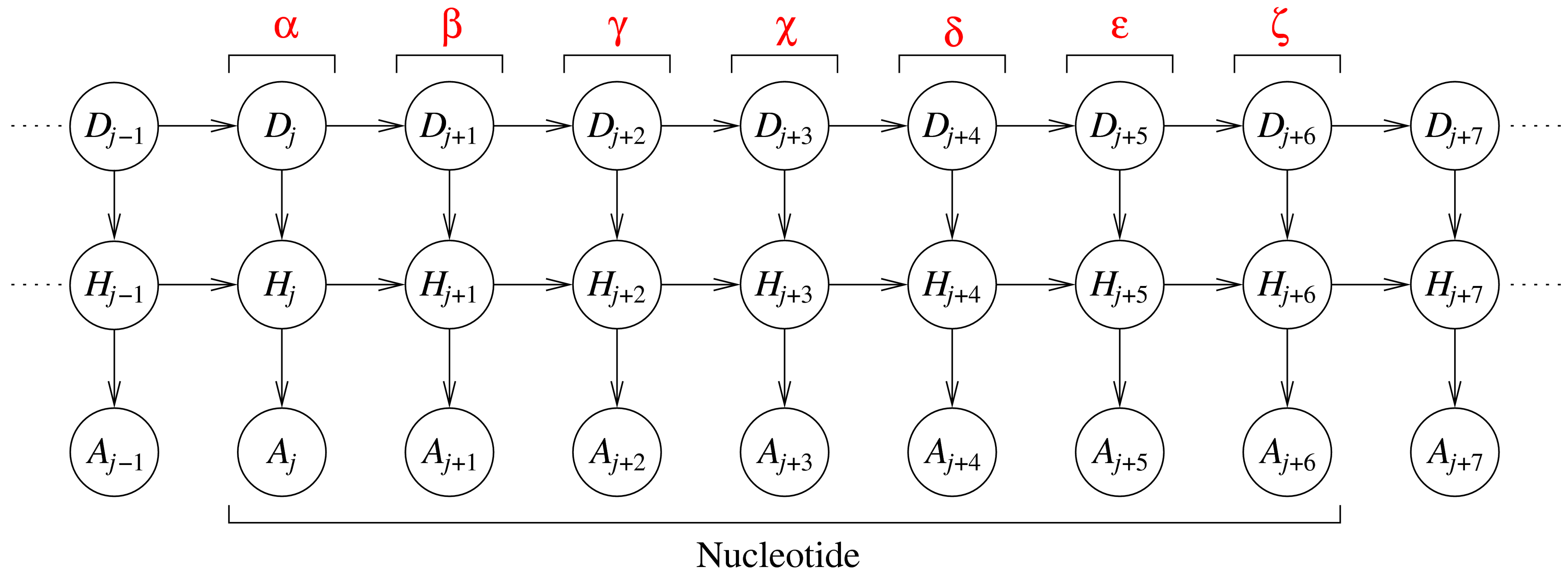 Barnacle DBN (doi: 10.1371/journal.pcbi.1000406.g002)