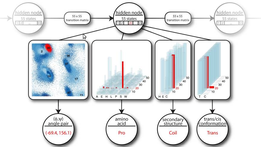 TorusDBN (doi: 10.1073/pnas.0801715105)